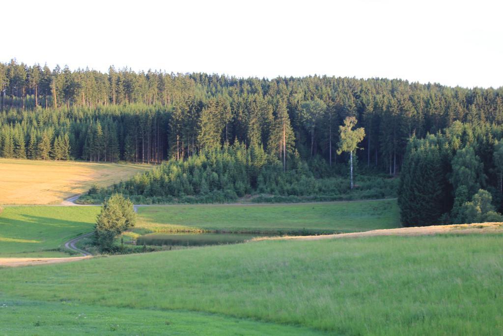 Landgasthof Haueis Marktleugast Exterior foto