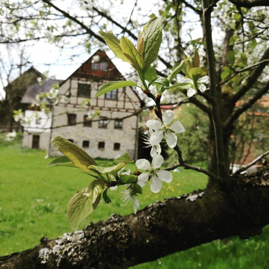 Landgasthof Haueis Marktleugast Exterior foto